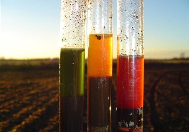 Soil pH Testing